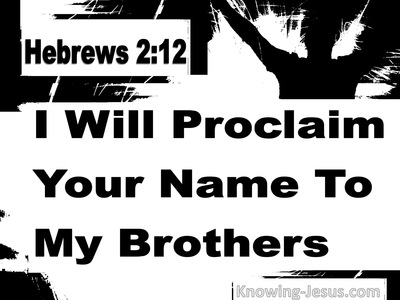 Hebrews 2:12